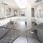 Scale Design Elite Line Crystal