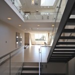 Scale Design Elite Line Crystal