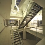 Scale Design Elite Line Crystal